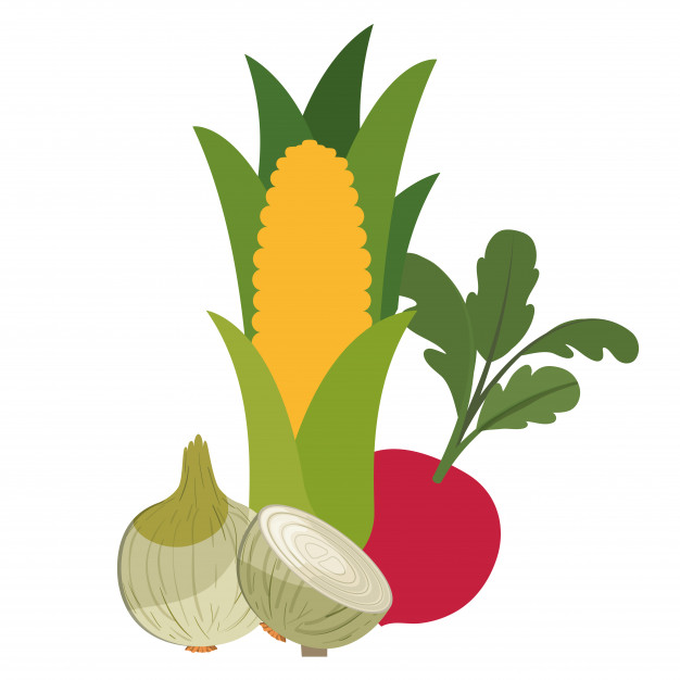 626x626 Beautiful Fresh Vegetables Isolated Icon Vector Premium Download