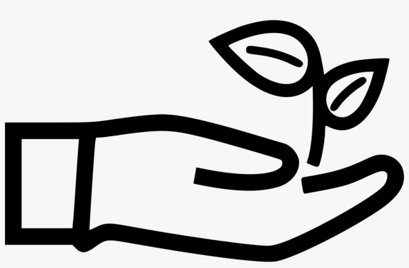 820x538 Eco Friendly