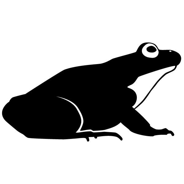 600x600 Day Frog Icon