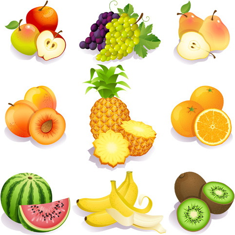 482x481 Realistic Fruits Icons Vector Free Vector In Encapsulated