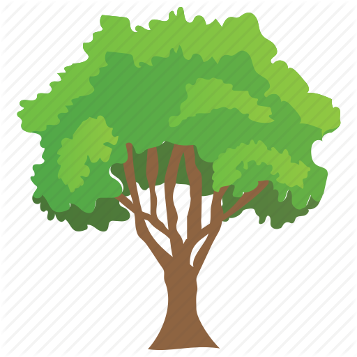 512x512 Fruit Tree, Generic Tree, Spreading Tree, Sugarberry, Woodland Icon