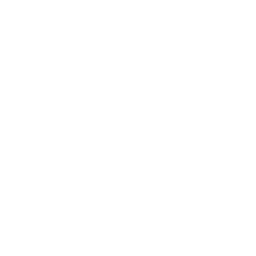 256x256 White Full Battery Icon