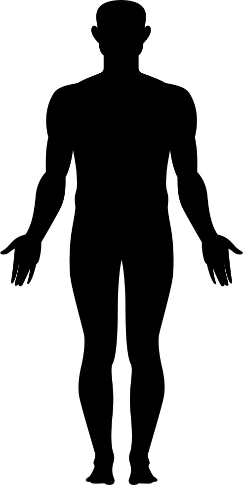 492x980 Whole Body Png Icon Free Download
