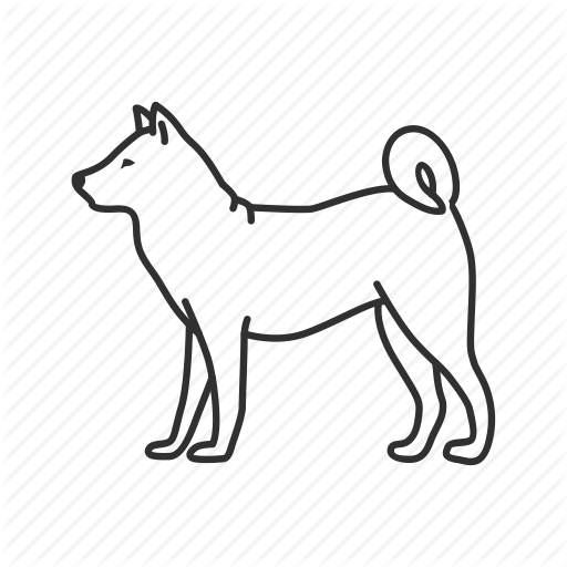 512x512 Dog, Domestic Dog, Full Body Dog, Man's Best Friend, Pet, Puppy