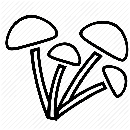 512x512 Fungi, Mushroom Plant, Mushroom Toadstool, Oyster Mushroom, Wild