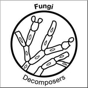 304x304 Clip Art Soil Ecology Icons Fungi Bampw I Abcteach