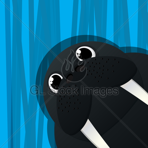 500x500 Funny Walrus Avatar Icon Gl Stock Images
