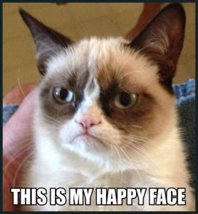 278x300 Men's Ladies T Shirt Funny Unhappy Cat This Is My Happy Face Icon