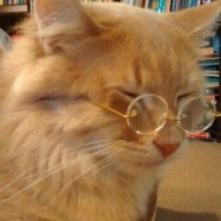 250x250 Funny Icons Tumblr