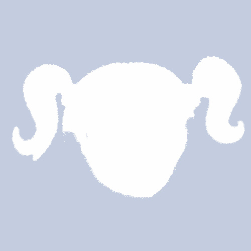 500x500 Huge Collection Of 'facebook Profile Picture Silhouette Female