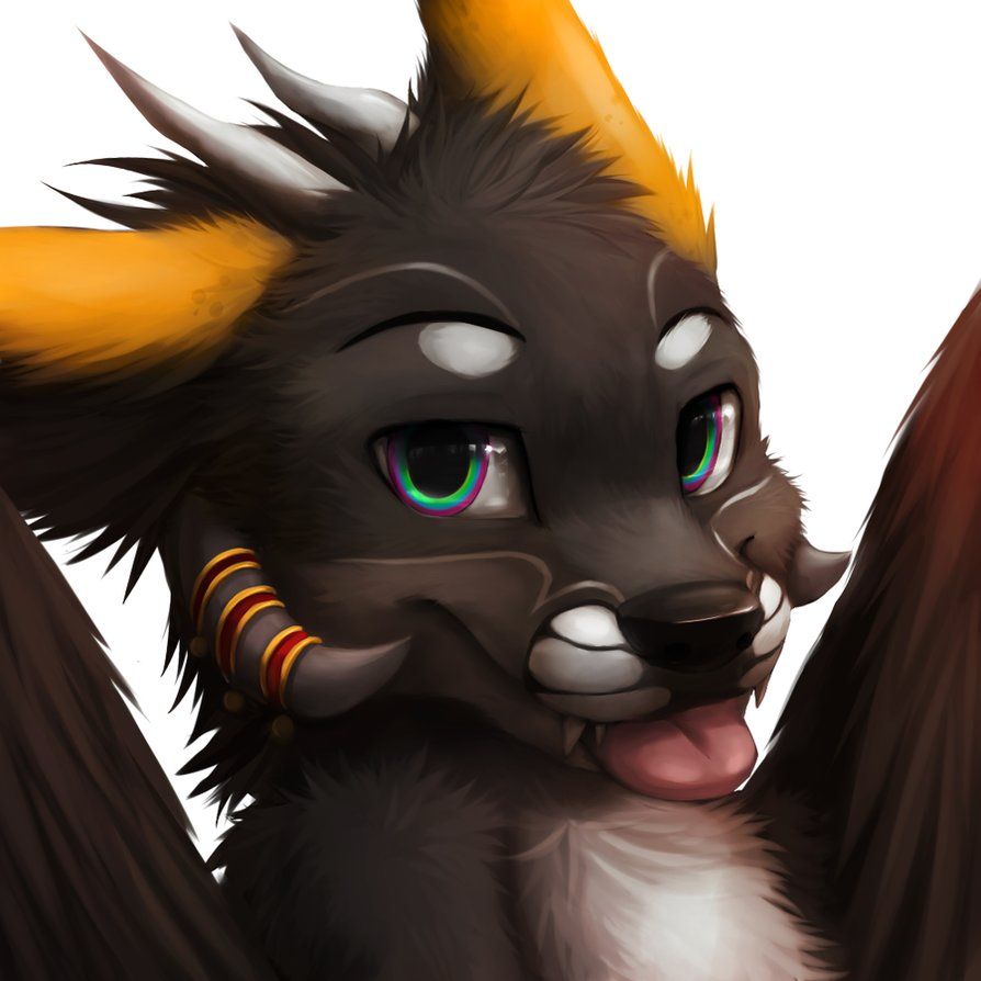 894x894 Icon Cm Chekote