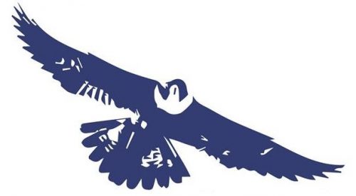 500x275 Fyi Icon Image Free Your Instinct