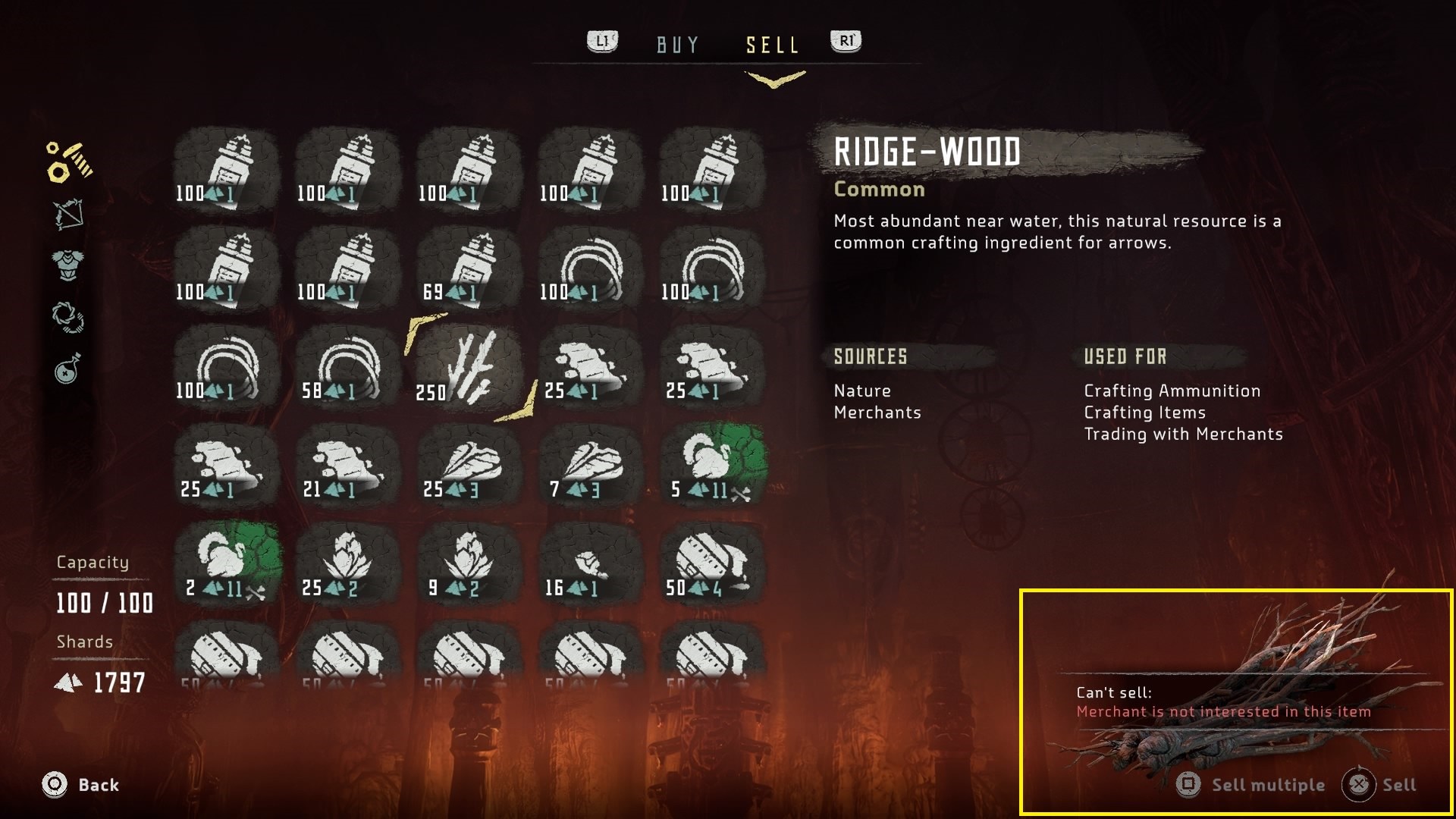 1920x1080 Some Issues With Inventory Management In Horizon Zero Dawn