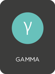 194x260 Icon Brainwave Gamma