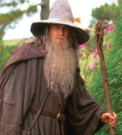 406x450 My Father Will Be Walking Me Down The Aisle As Gandalf The Gray