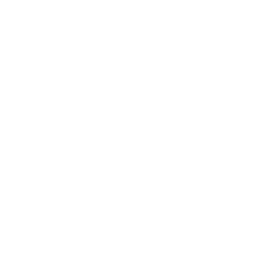 256x256 Free White Gantt Chart Icon