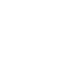 256x256 Free White Garage Icon
