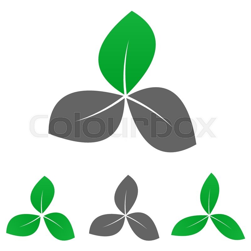 800x800 Green Garden Logo Vector Garden Icon Stock Vector Colourbox