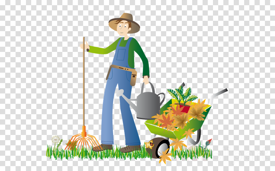 900x560 Forest Icon Clipart