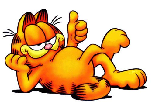 500x339 Garfield Photo Icon