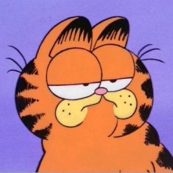 250x250 Cute Garfield Twitter Iconavi! Shared