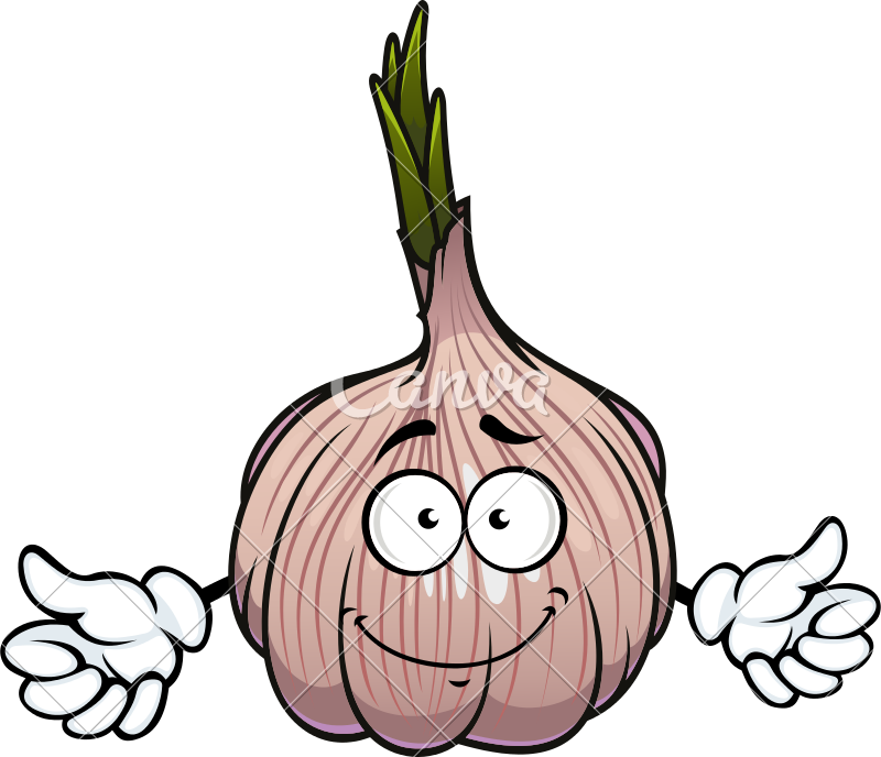 800x688 Garlic Icon Art