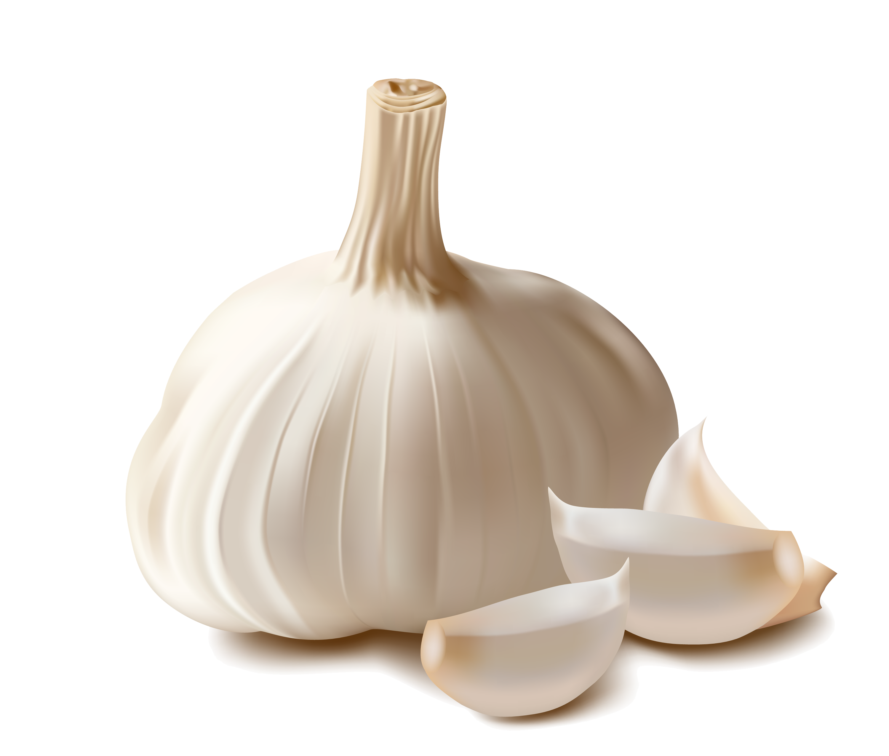 3000x2551 Garlic Icon Clipart Web Icons Png