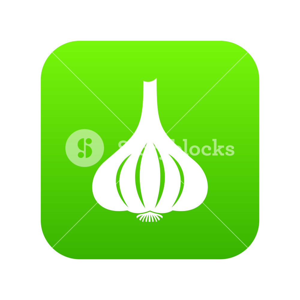 1000x1000 Garlic Icon Digital Green For Any Design Isolated On White Vector