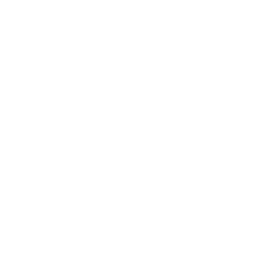 256x256 Free White Gas Icon