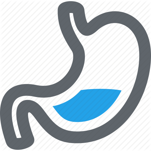 512x512 Gastroenterology, Stomach Icon