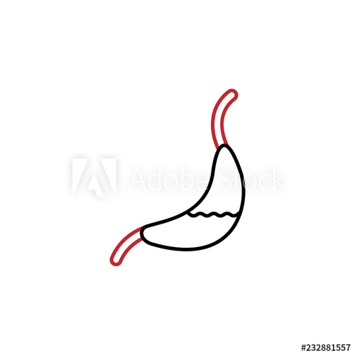 500x500 Gastroenterology Colored Line Icon Simple Colored Element