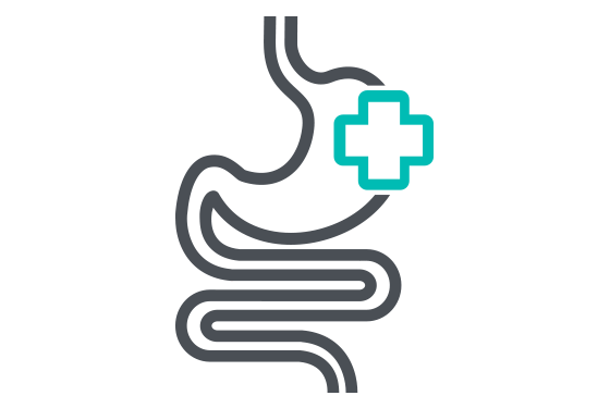 560x375 Gastroenterology Care Services