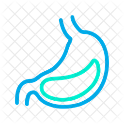 256x256 Gastroenterology Icon Of Line Style