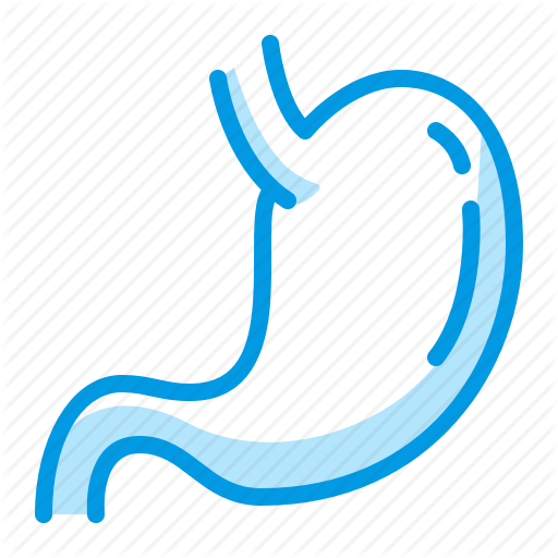 512x512 Anatomy, Gastroenterology, Pain, Stomach Icon
