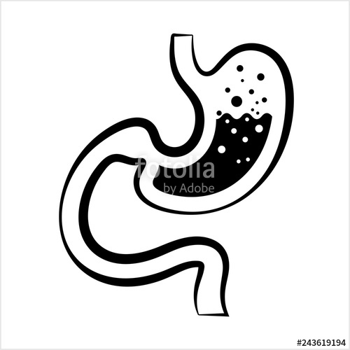 500x500 Stomach Icon, Gastroenterology Icon Stock Image And Royalty Free