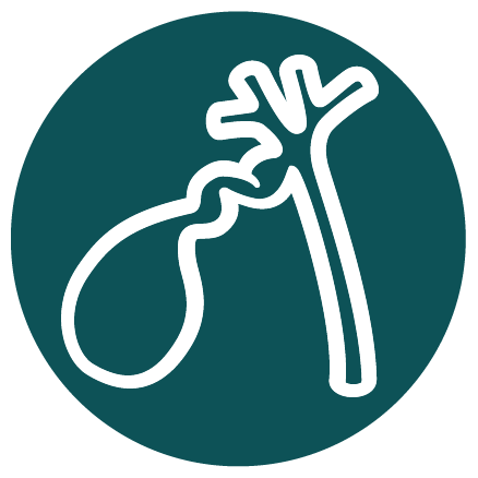 438x438 United Hospital Center Gastroenterology Bridgeport, Wv