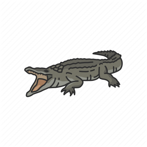 512x512 Alligator, Animal, Gator, Predator, Reptiles, Vertebrates Icon