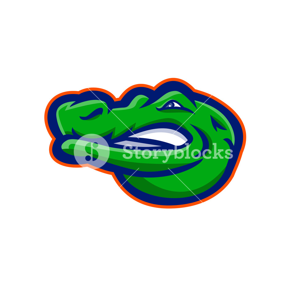 1000x1000 Mascot Icon Illustration Of Head Of An Alligator, Gator, Crocodile