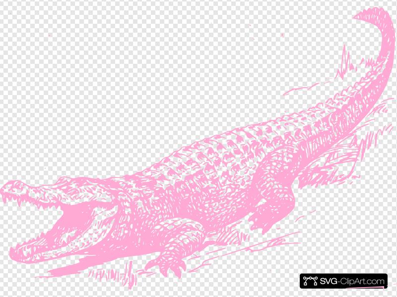 800x600 Pink Gator Clip Art, Icon