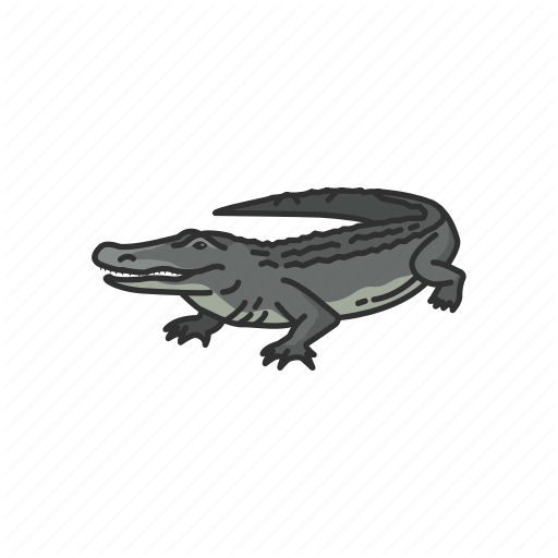512x512 Alligator, Animals, Gator, Predator, Reptiles, Vertebrates Icon