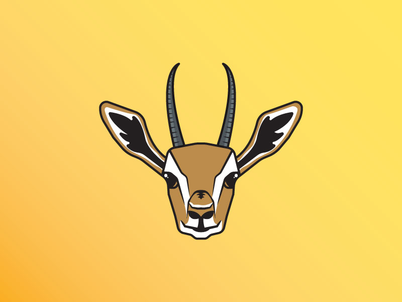 800x600 Gazelle