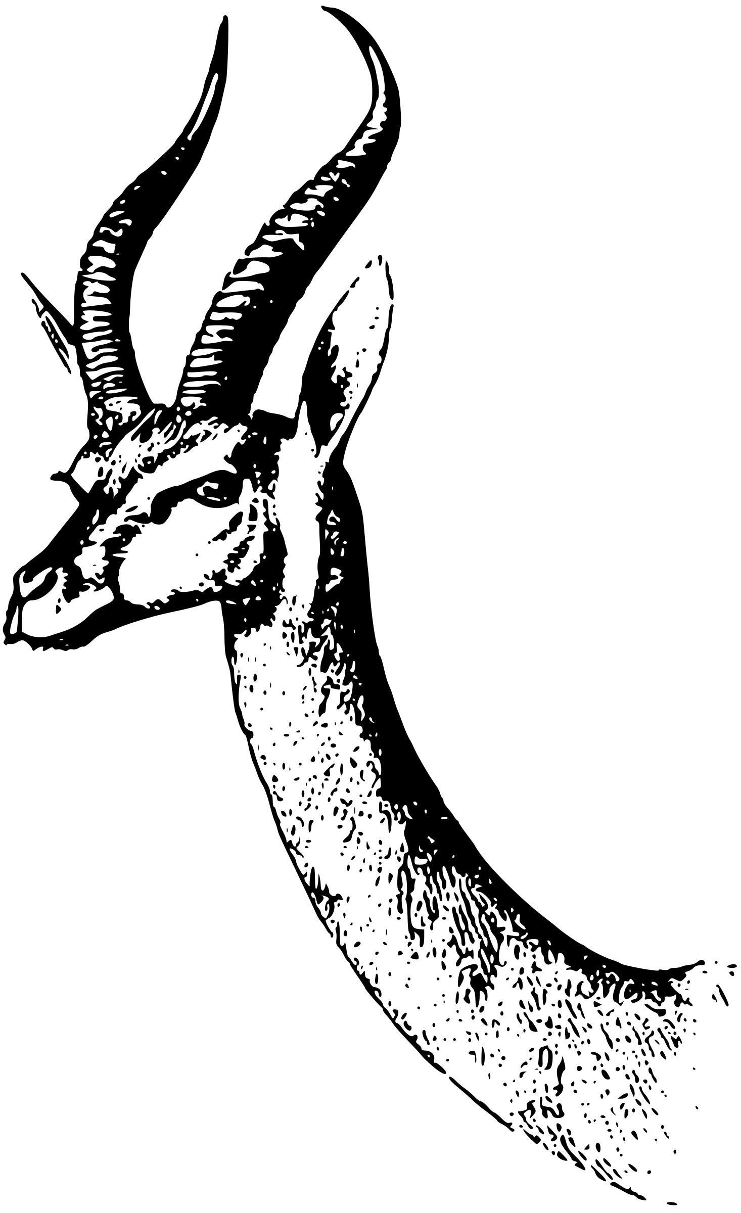1466x2400 Waller's Gazelle Icons Png