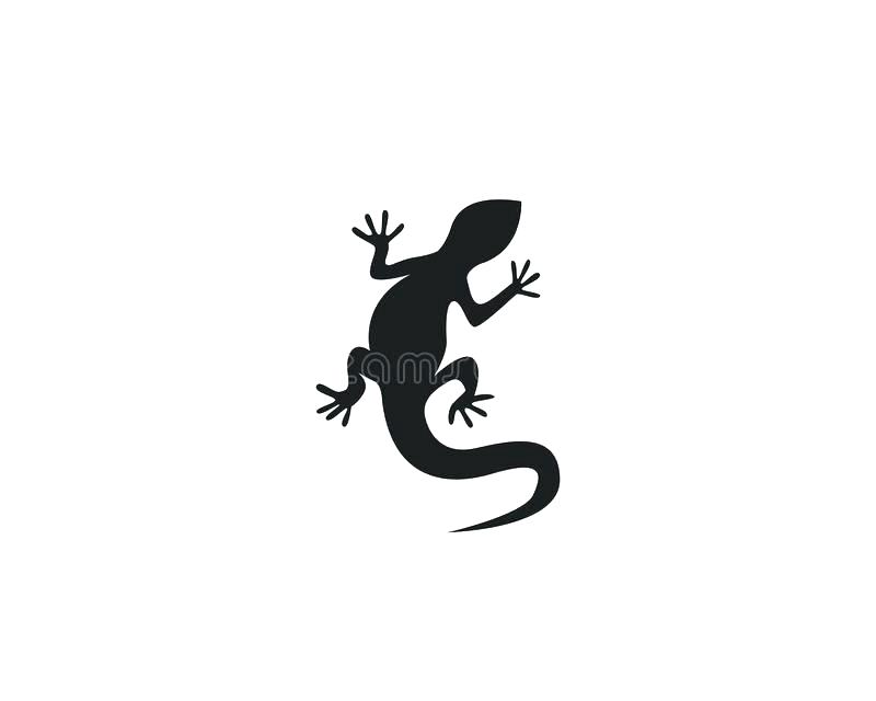 800x640 Lizard Cake Template Download Vector Icon Logo And Symbols Stock