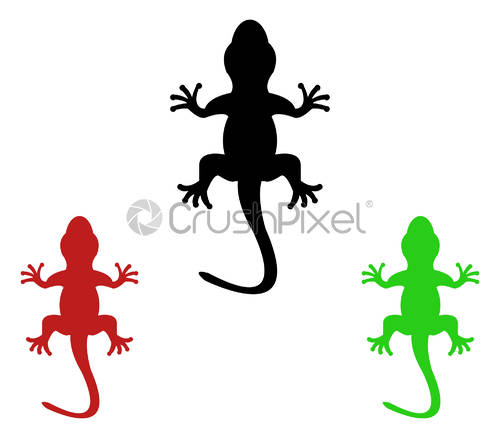 500x438 Lizard Icon, Stock Vector Crushpixel