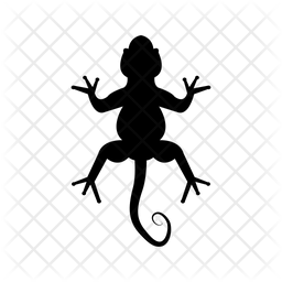 256x256 Lizard Icon Of Glyph Style