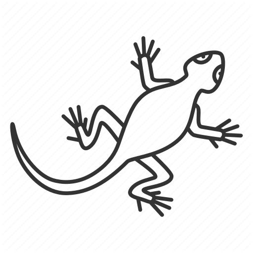 512x512 Animal, Gecko, Lizard, Pet, Reptile, Salamander, Zoology Icon