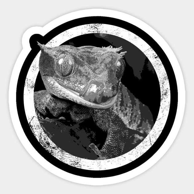630x630 Distressed Pet Crested Gecko Icon