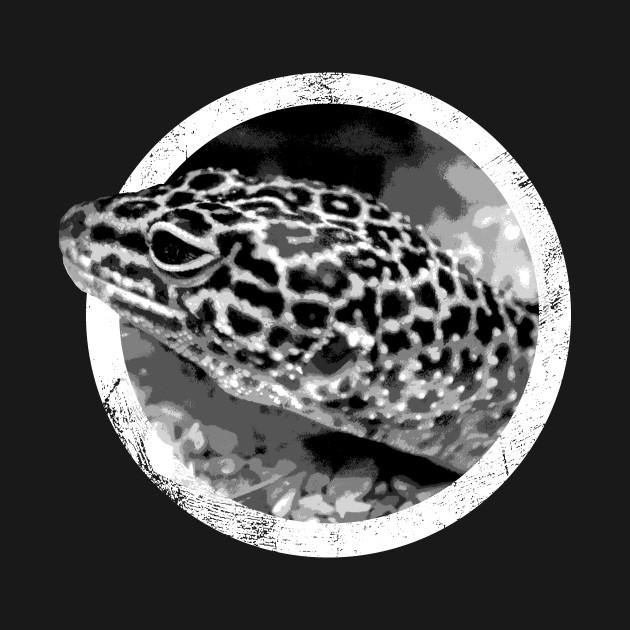 630x630 Distressed Pet Leopard Gecko Icon