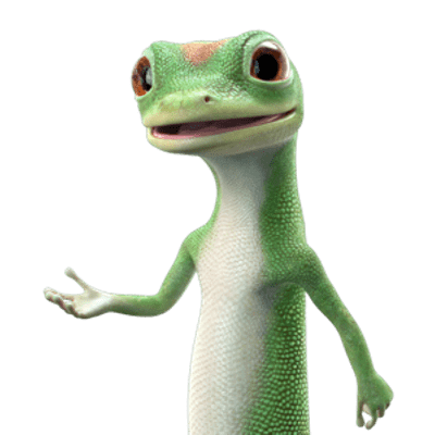 400x400 Geico Logo Png Images