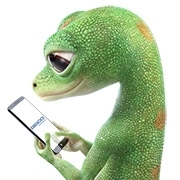 180x180 Geico Jobs Glassdoor